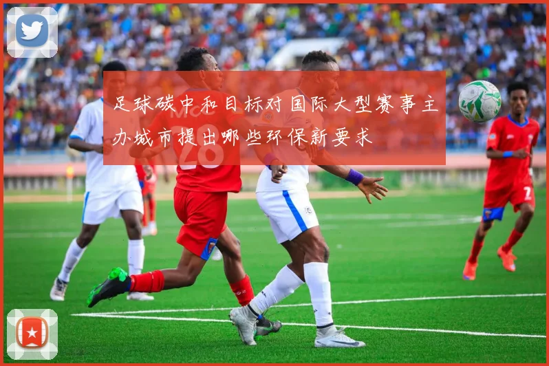 足球碳中和目标对国际大型赛事主办城市提出哪些环保新要求